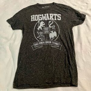 Harry Potter Hogwarts Crest Draco Dormiens Nunquam Titillandus Adult L T-shirt